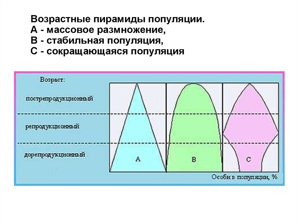 Вымирающая популяция схема