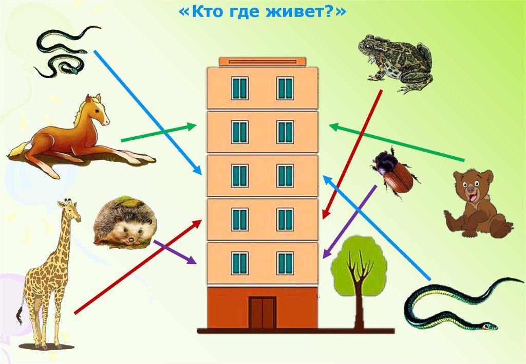 Автоматизация звука з в словосочетаниях презентация