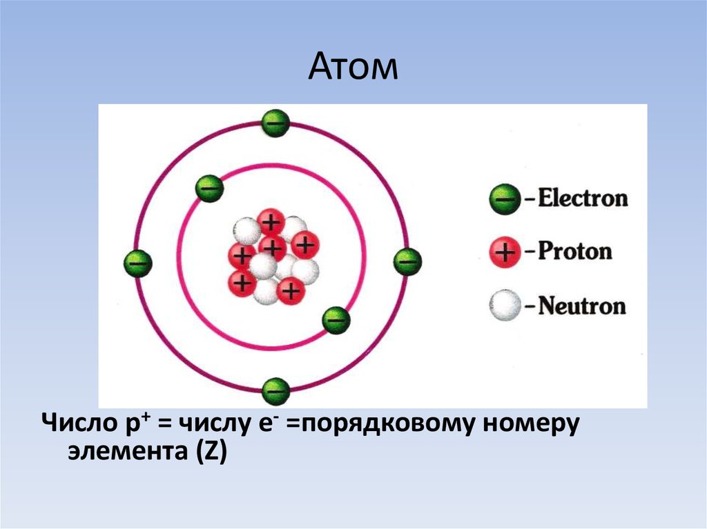 Какие элементы составляют атом