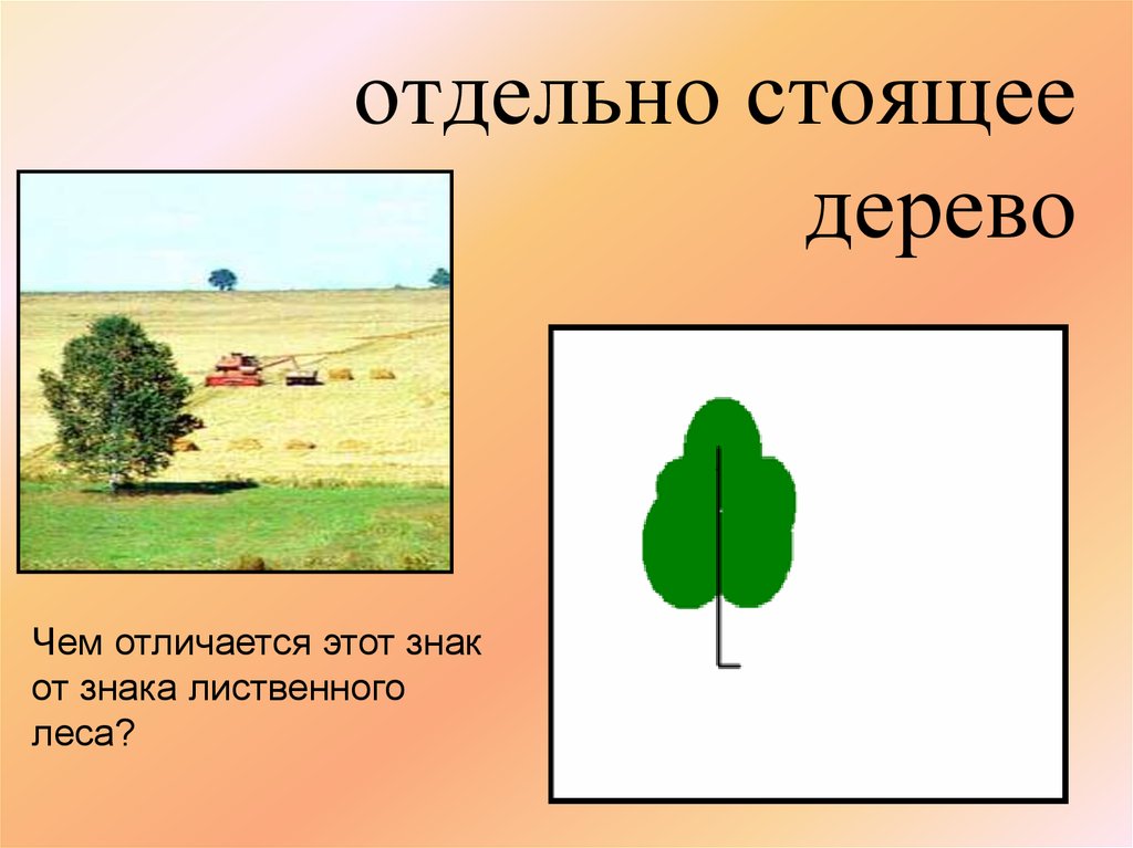 Отдельно стоящее