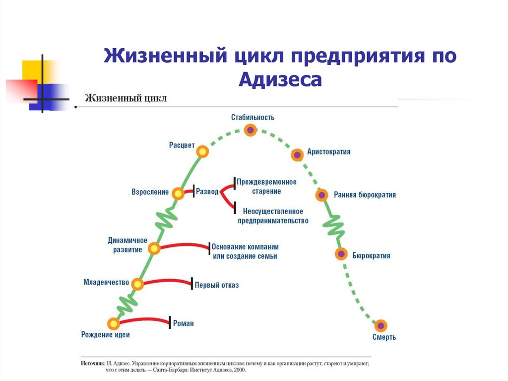 Стадии жизненного цикла по адизесу