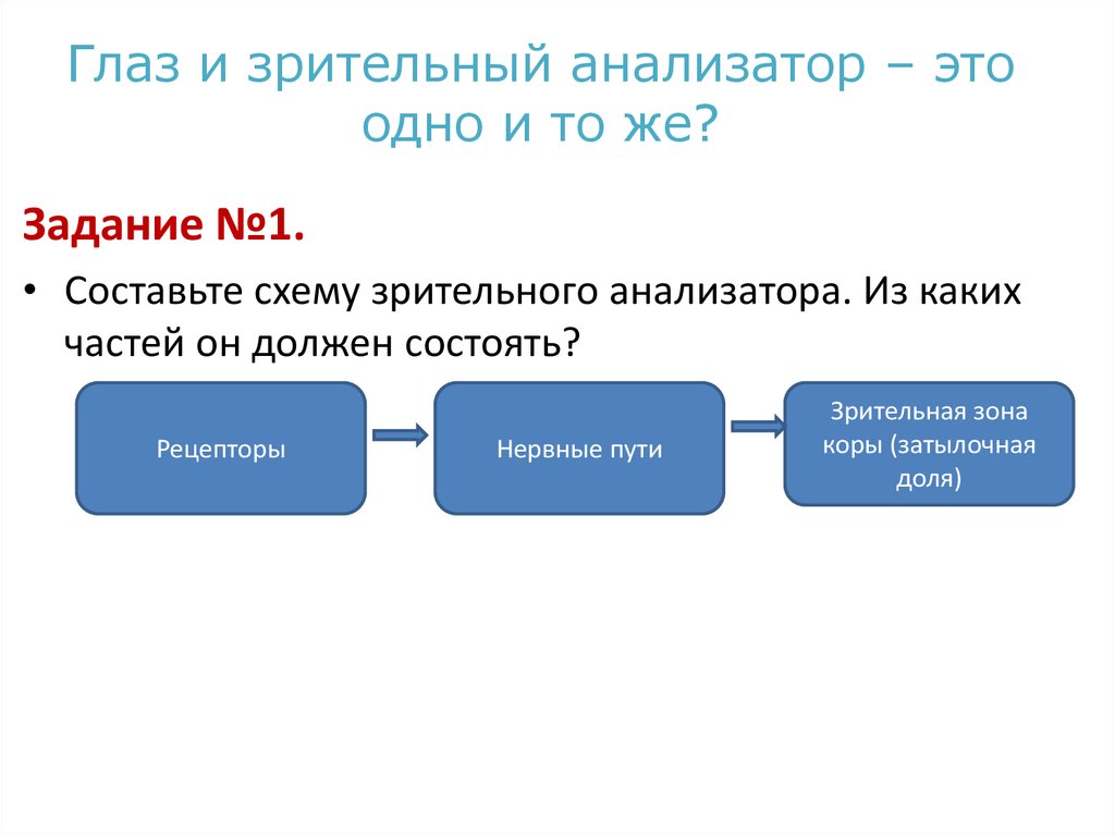 Тест зрительный анализатор 9 класс