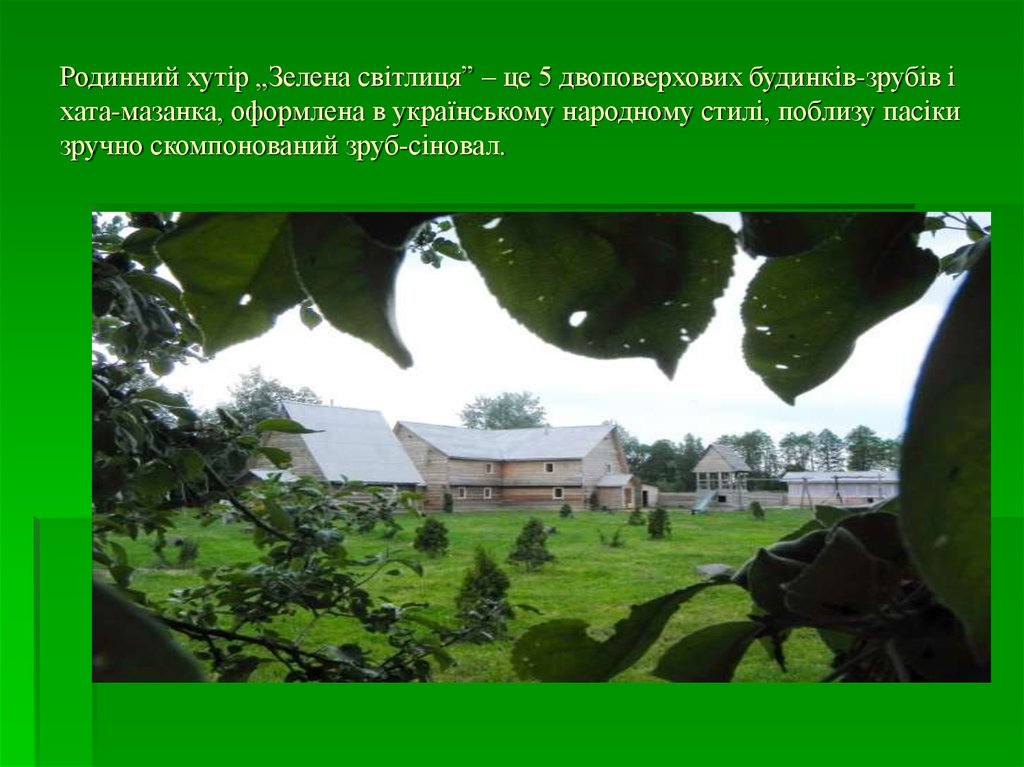 Родинний хутір „Зелена світлиця” – це 5 двоповерхових будинків-зрубів і хата-мазанка, оформлена в українському народному стилі,