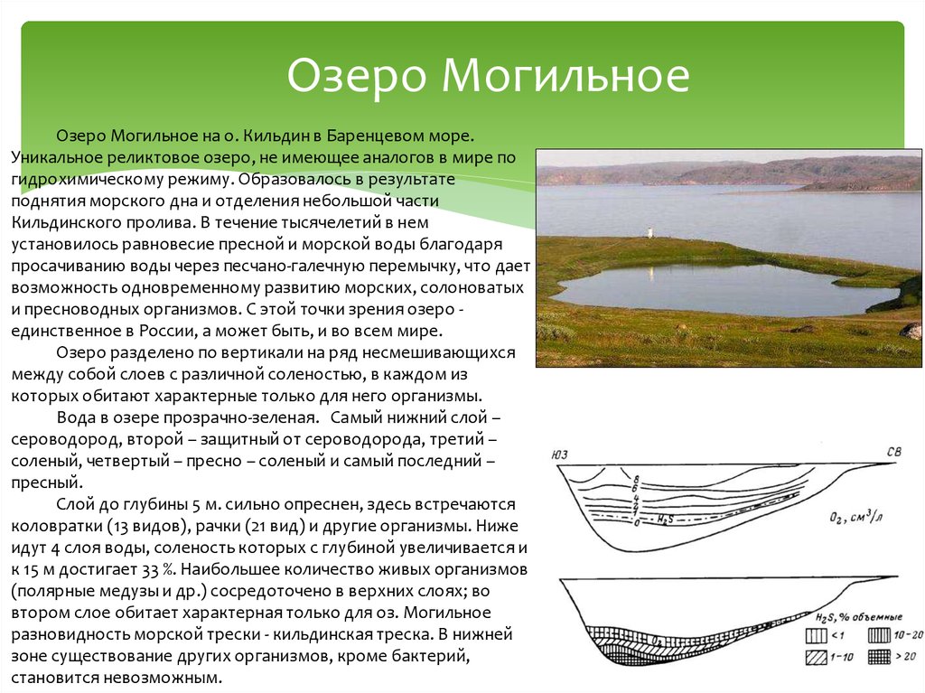 Озеро могильное. Озеро Могильное Мурманская область слои. Озеро Могильное на Кильдине. Озеро Могильное на острове Кильдин. Озеро Могильное Мурманская область.