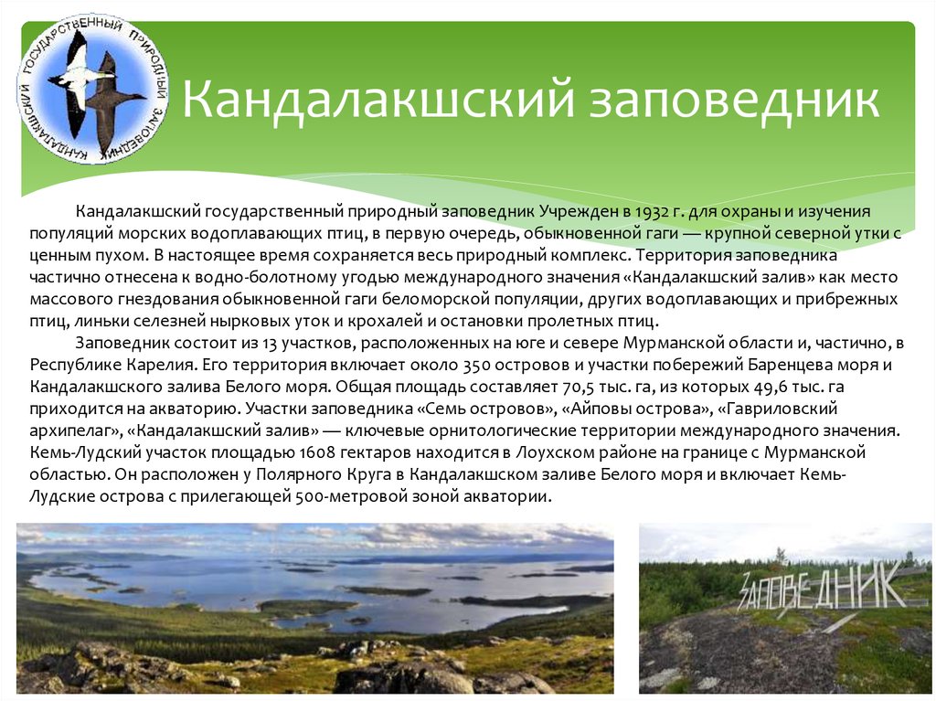 Кандалакшский заповедник природная. Кандалакшский заповедник Дата основания. Кандалакшский государственный природный заповедник территория. Лапландский и Кандалакшский заповедники. Кандалакшский заповедник Мурманская область.