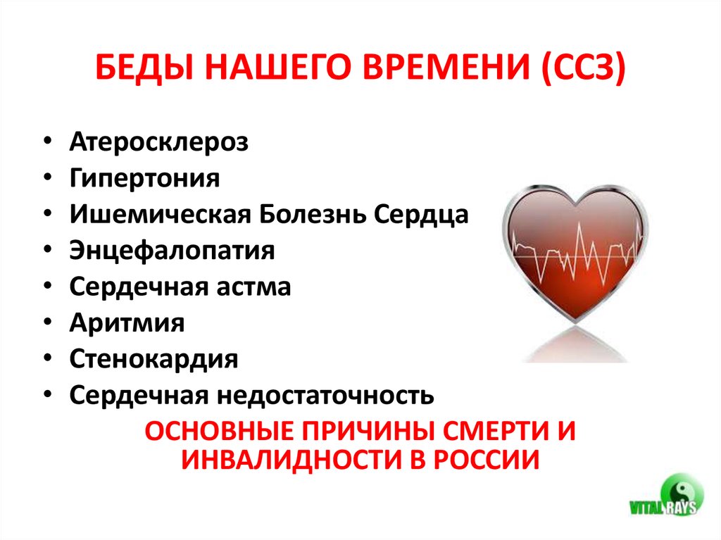 БЕДЫ НАШЕГО ВРЕМЕНИ (ССЗ)