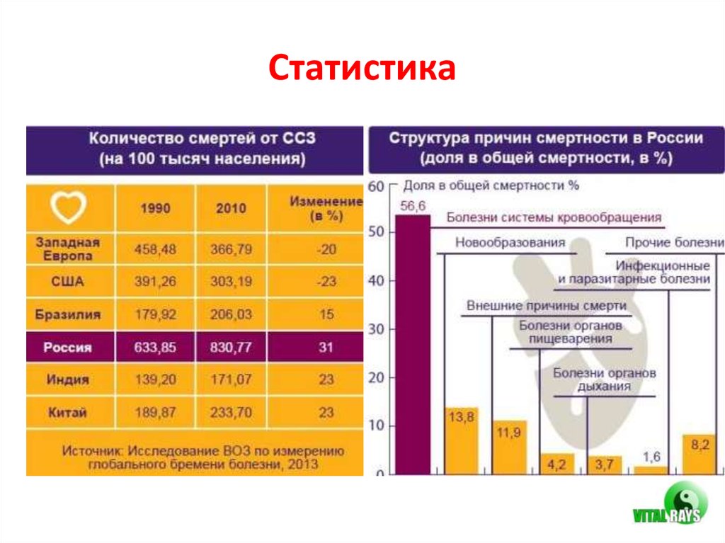 Статистика