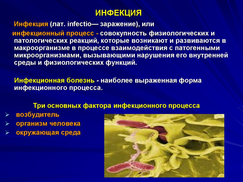 Патофизиология инфекционного процесса презентация