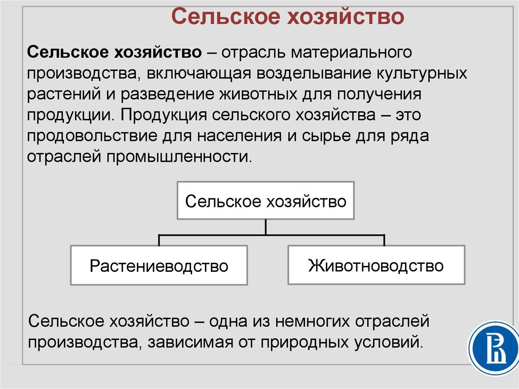 Состав первичного сектора экономики природные ресурсы презентация 8 класс