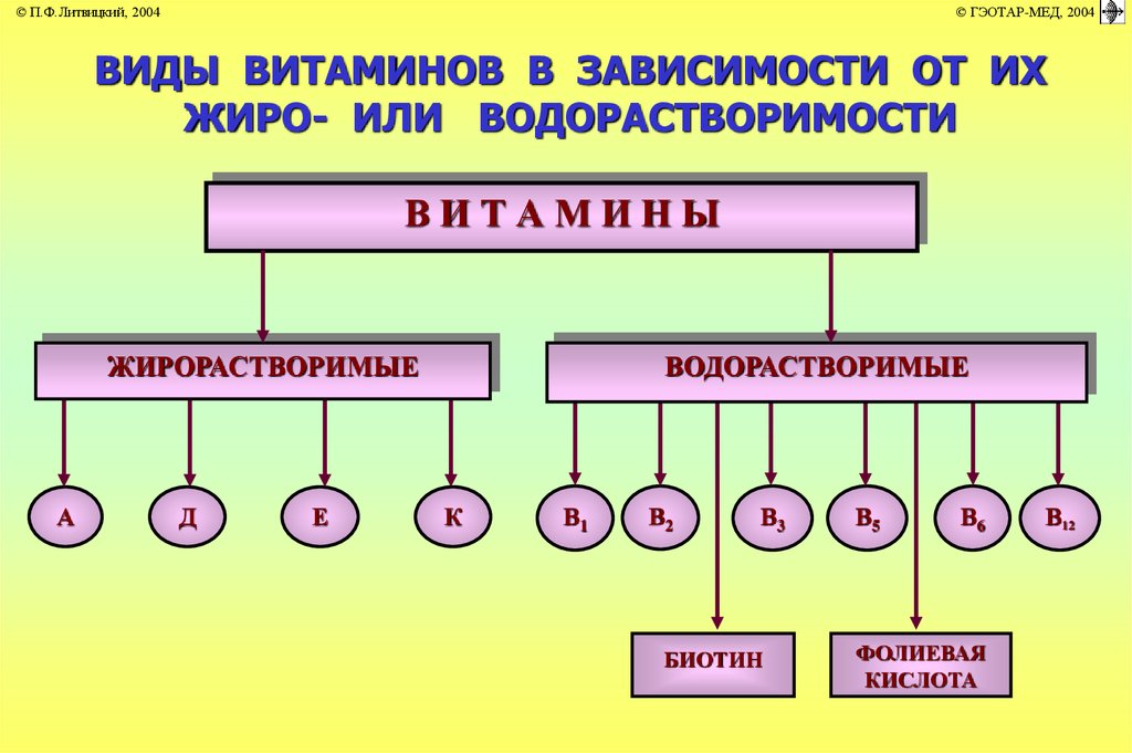 Жиро и водорастворимые витамины. Нарушение обмена витаминов. Виды нарушения обмена витаминов. Виды нарушения витаминного обмена. Нарушение обмена витаминов патофизиология.