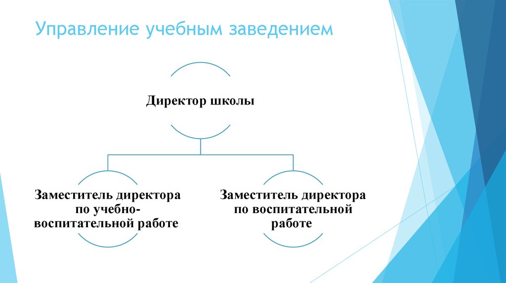 Государственное управление учеба