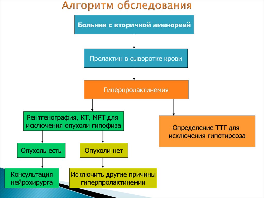 Аменорея план обследования