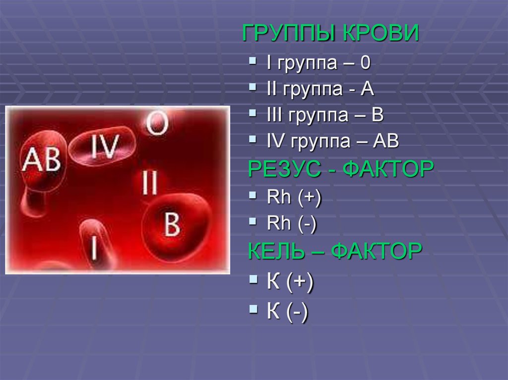 Группа крови rh фактор. Группа крови. Группа крови 0. Основы трансфузиологии. Группы крови.. Гр крови rh фактор это.