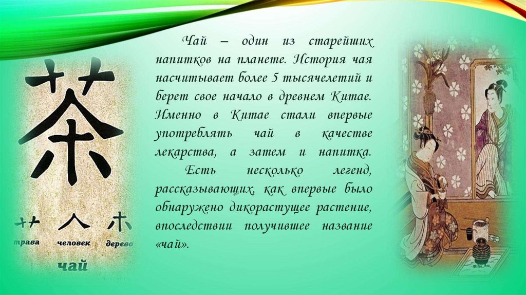 Чай – один из старейших напитков на планете. История чая насчитывает более 5 тысячелетий и берет свое начало в древнем Китае.