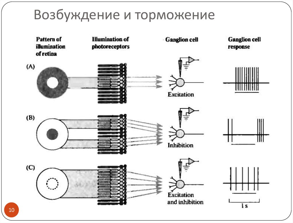 Просто возбуждение