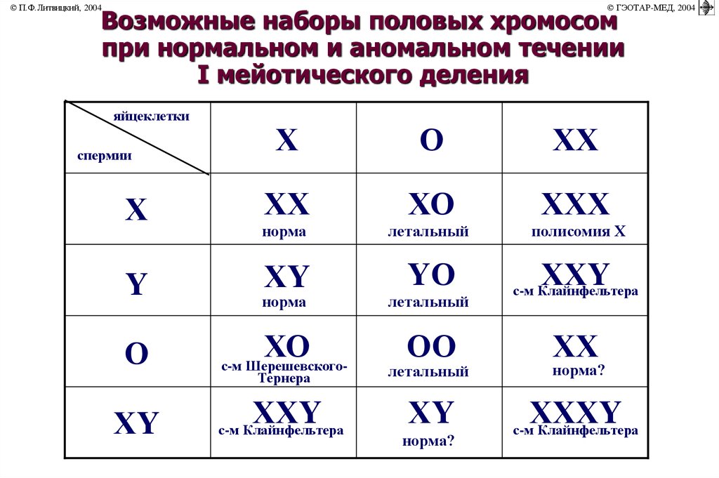 Половый хромосомы. Аномалии половых хромосом. Возможные наборы половых хромосом. Аномалии половых хромосом таблица. Заболевания связанные с аномалиями половых хромосом.