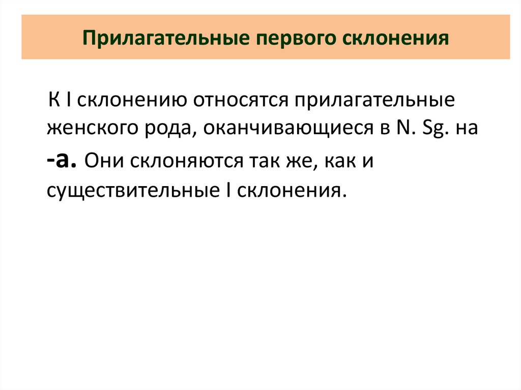 Прилагательное первой группы. Что относится к первому склонению. К первому склонению относятся прилагательные латынь. К 1 склонению относятся латынь. Первый прилагательное.