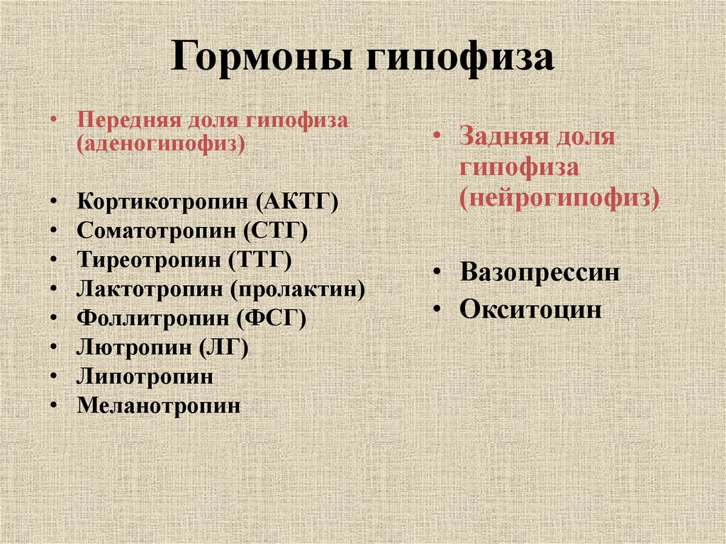 Какие гормоны вырабатывает передняя доля гипофиза заполните схему