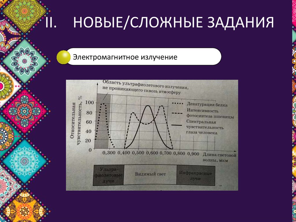 Любое сложнейшее задание