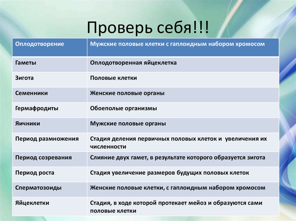 Проверь себя!!!