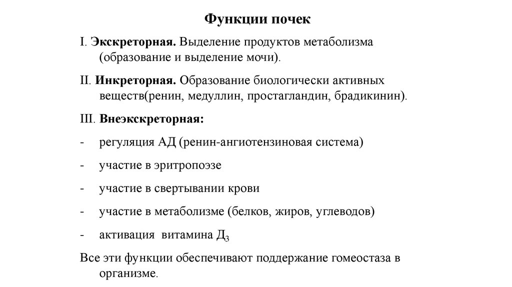 Инкреторная функция почек. Образование биологически активных веществ. Брадикинин функции. Экскреторная система.