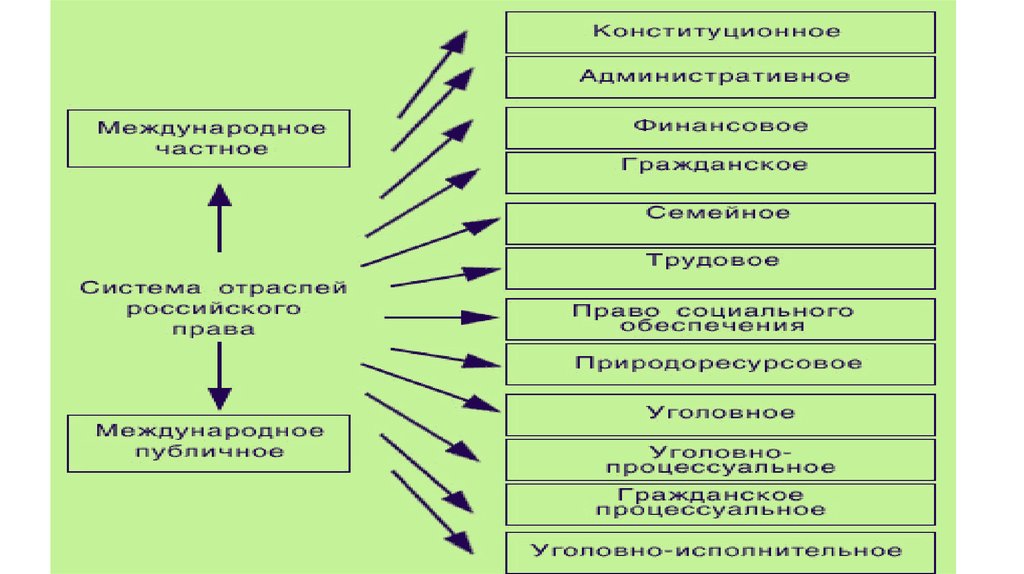 П отрасли право. Отрасли правда.