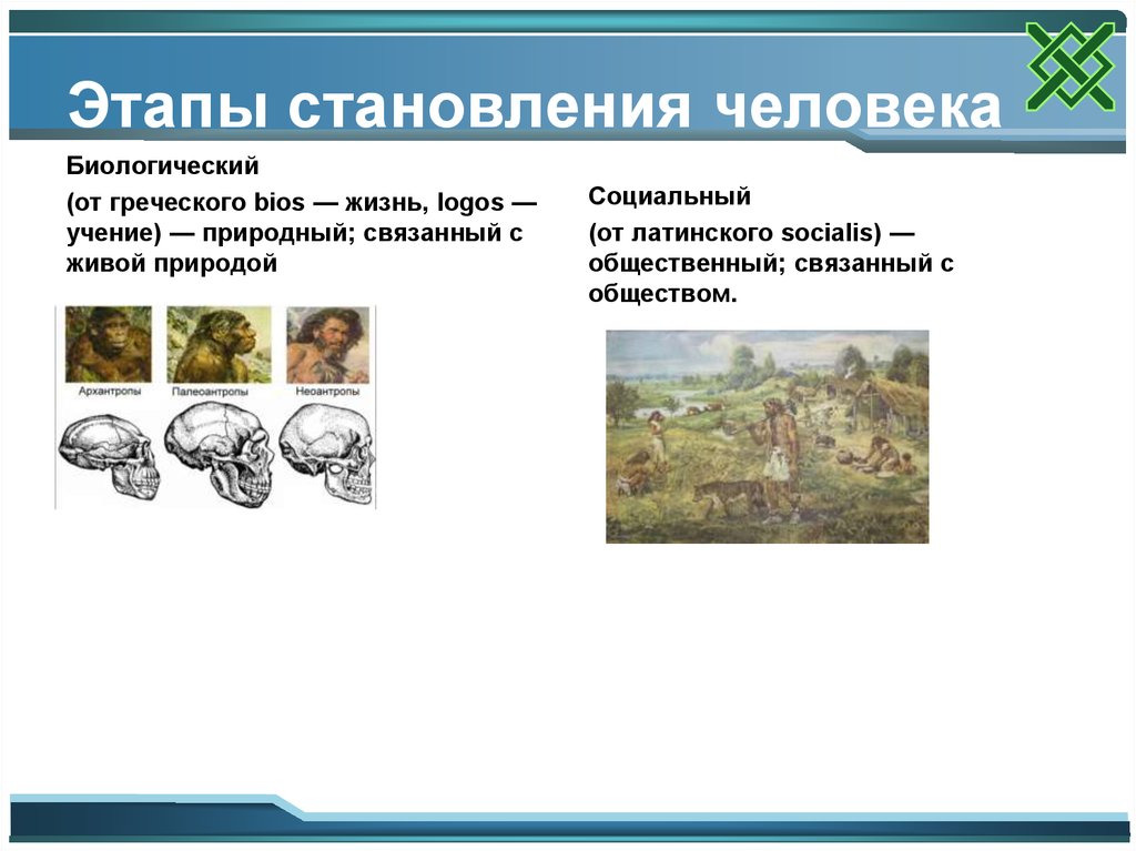 Социальное становление человека 6 класс презентация обществознание. Этапы становления человека презентация. Социальное становление человека 6 класс Обществознание проект. Этапы становления героя.