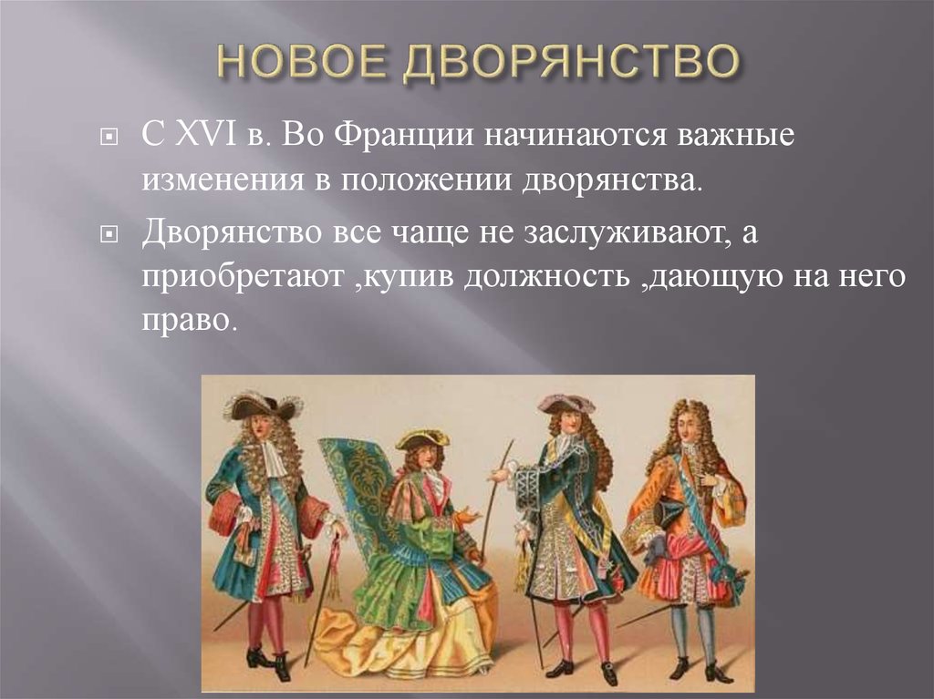 Дворянство франции. Новое дворянство. Дворянство новое дворянство. Новое дворянство во Франции. Новое дворянство 16 17 века.