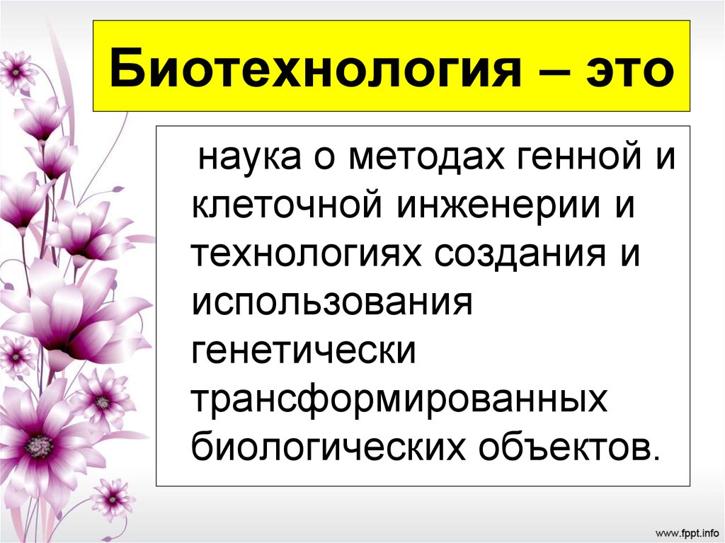 Презентация биотехнология 10 класс биология