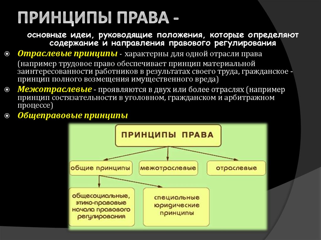 Роль принципов. Принципы отрасли права. Основные принципы отрасли права. Отраслевые принципы права. Общие правовые принципы права.