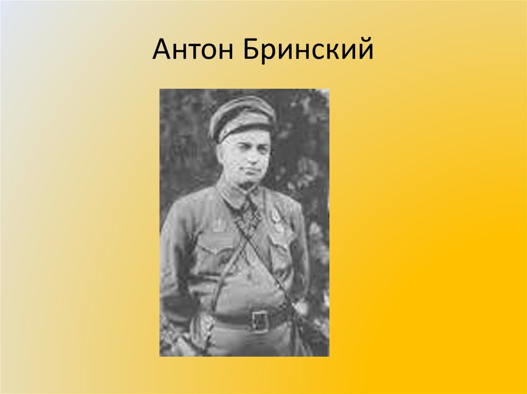 Антон Бринский