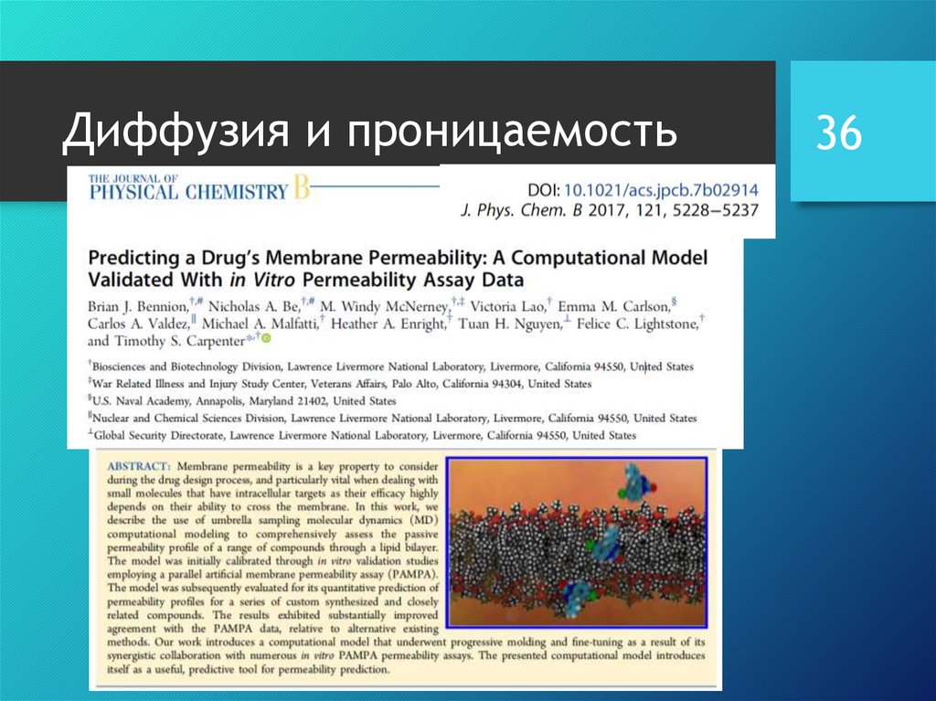 Диффузия и проницаемость