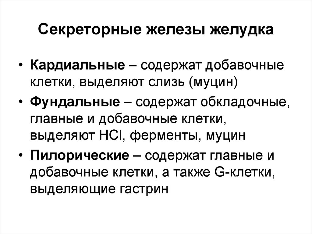 Какие железы расположены в желудке. Железы желудка. Железы желудка строение. Добавочные клетки желудка. Клетки желудка физиология.