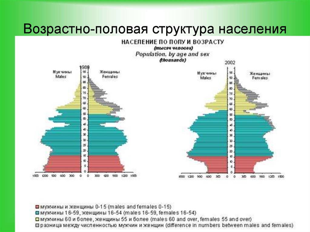 Половой и возрастной состав населения россии география 8 класс презентация