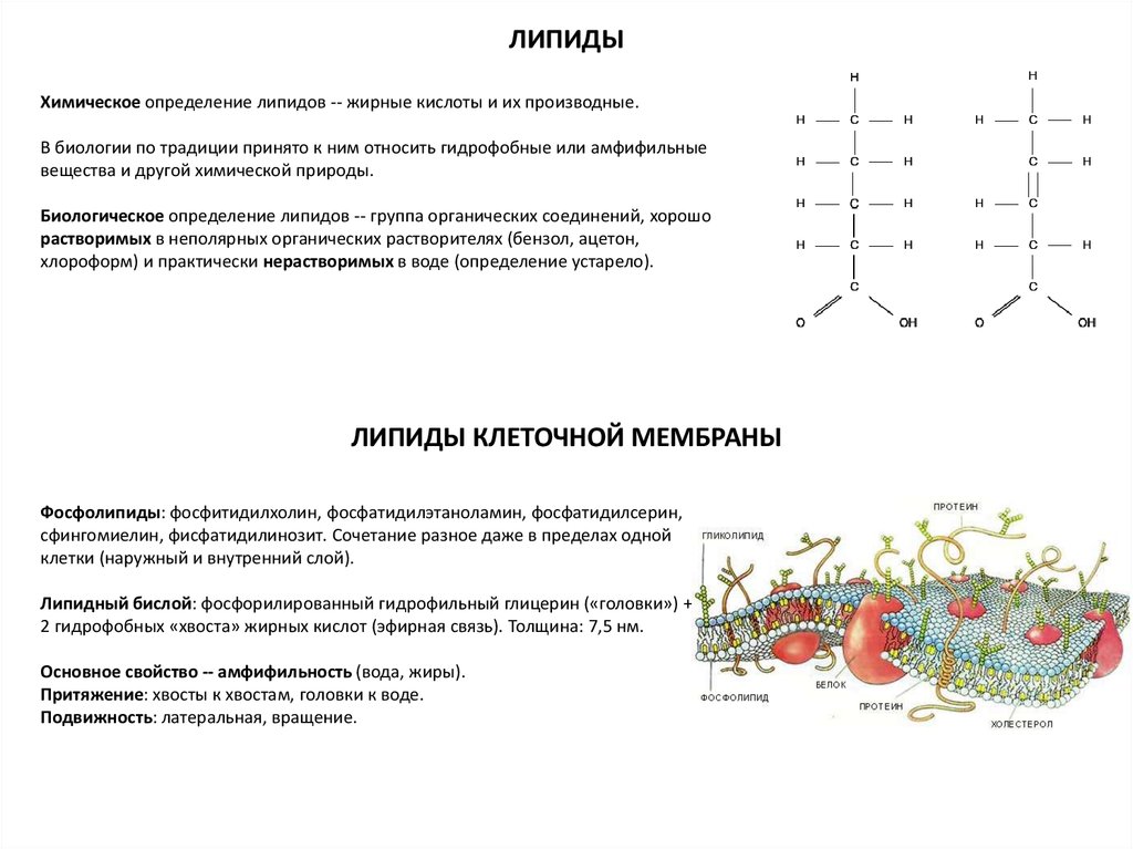 Картинки ПРОЕКТ 9 КЛАСС ОБРАЗЕЦ ТЕХНОЛОГИЯ