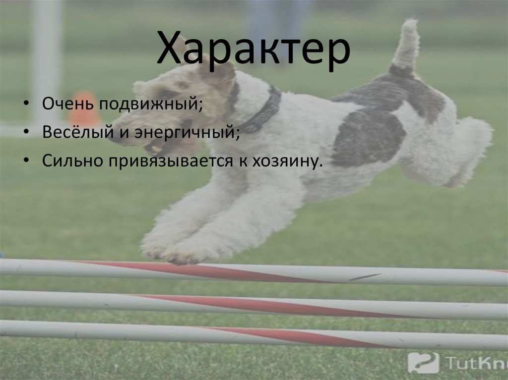 Характер