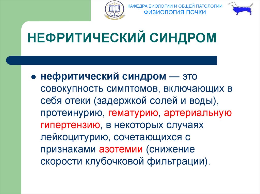 Презентация нефротический и нефритический синдром