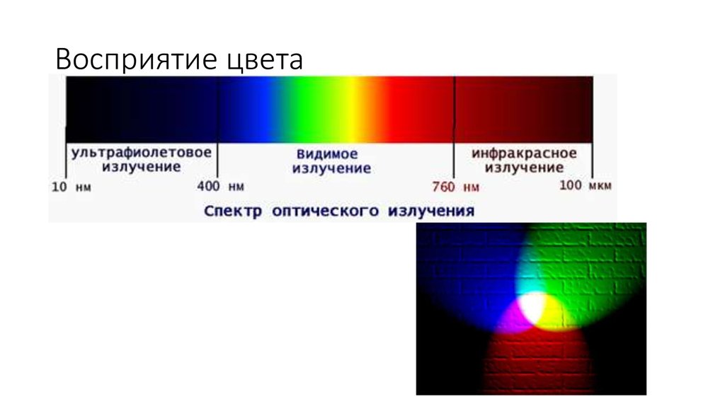 Ощущение цвета. Восприятие цвета. Восприятие цвета человеком. Восприятие цвета глазом человека. Спектральное восприятие цвета.