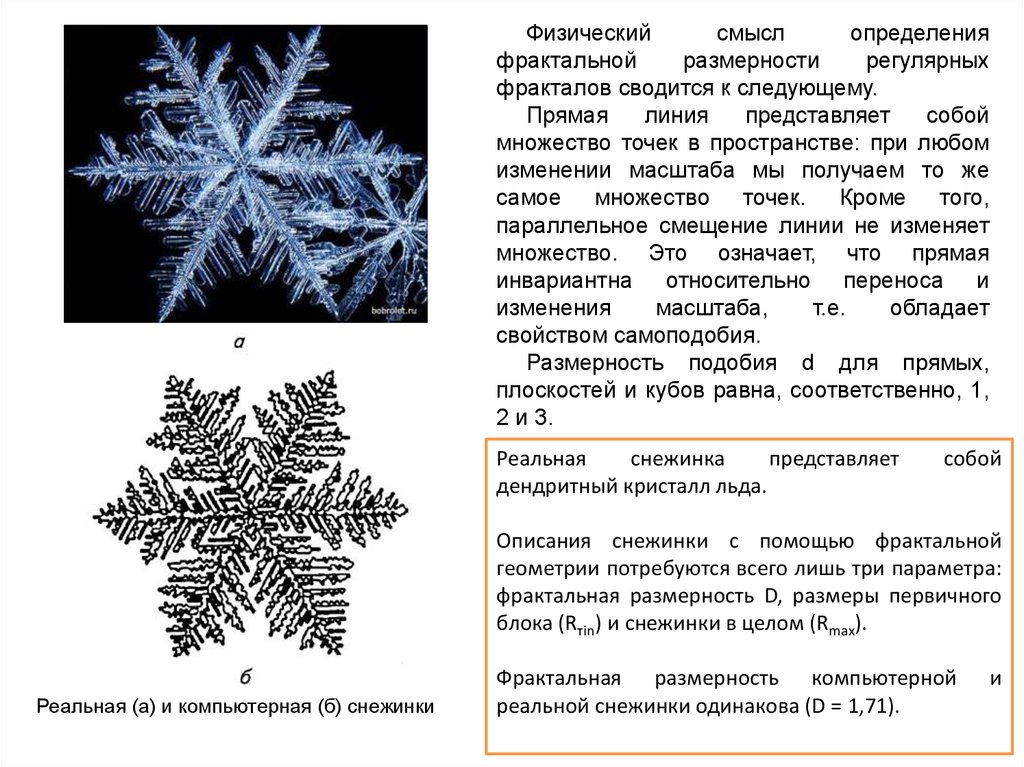 Фрактальная размерность изображения