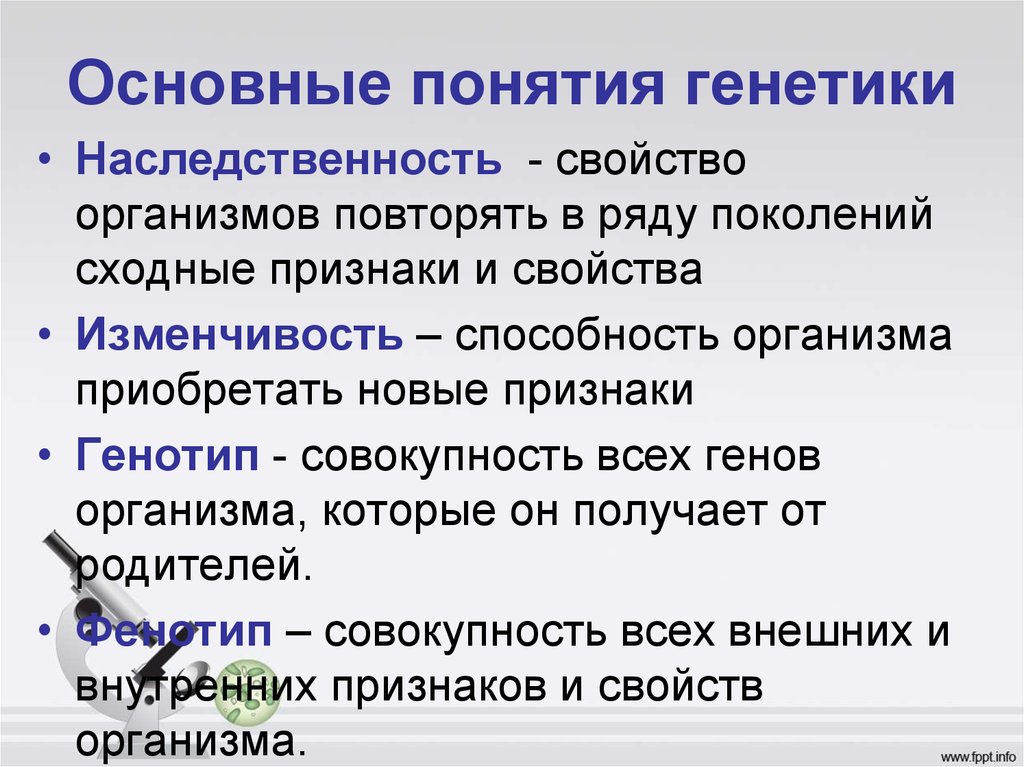 Генетик понятие. Основные понятия генотип. Основные понятия генетики. Основные понятия генетики наследственность. Основные понятия в генетике.