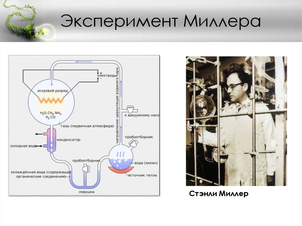 Первичный бульон эксперимент