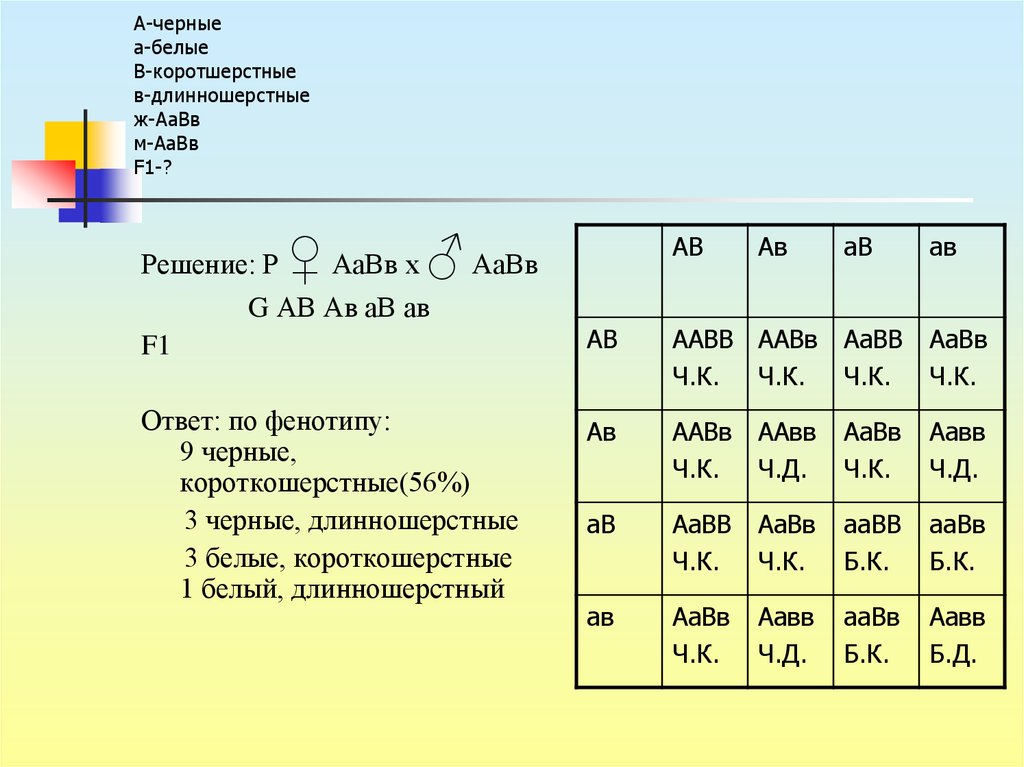 Урок дигибридное скрещивание 10 класс