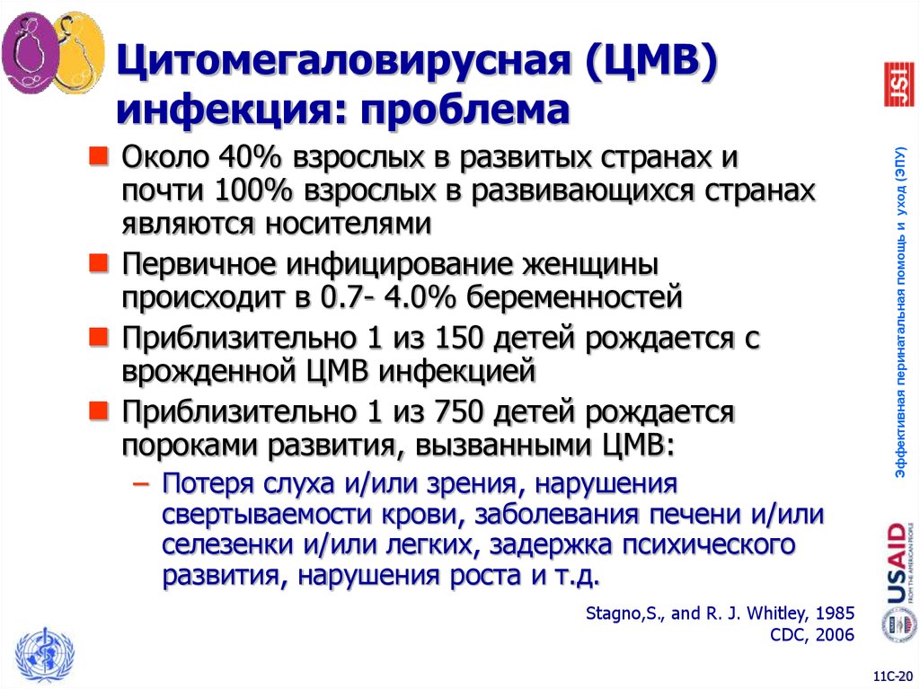 Цмв инфекция презентация