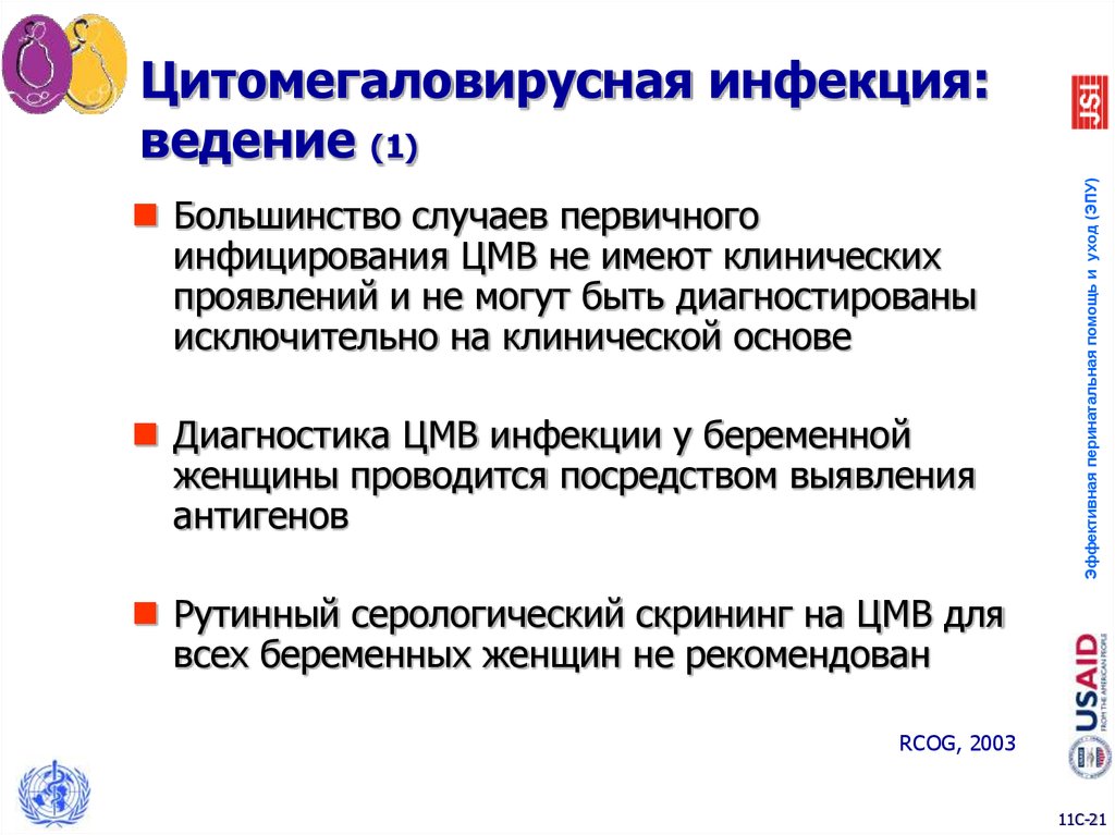 Первичный случай. Профилактика ЦМВ инфекции. Цитомегаловирусная инфекция.