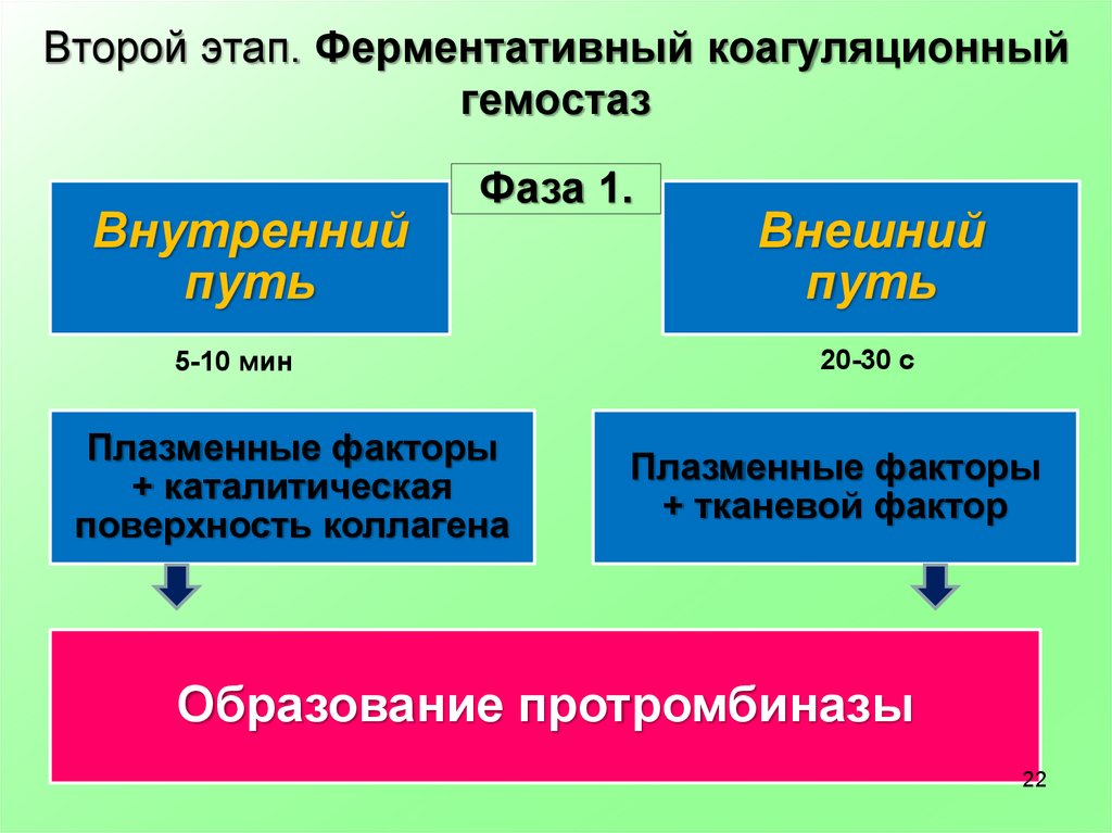 Коагуляционный гемостаз. 1 Фаза коагуляционного гемостаза. Результат третьей фазы коагуляционного гемостаза. Факторы коагуляционного гемостаза. Стадии коагуляционного гемостаза.