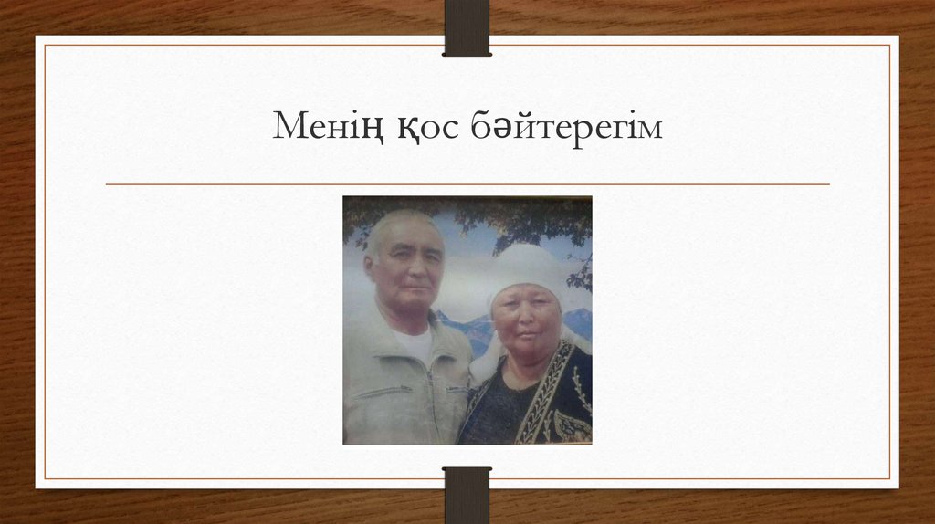 Менің қос бәйтерегім