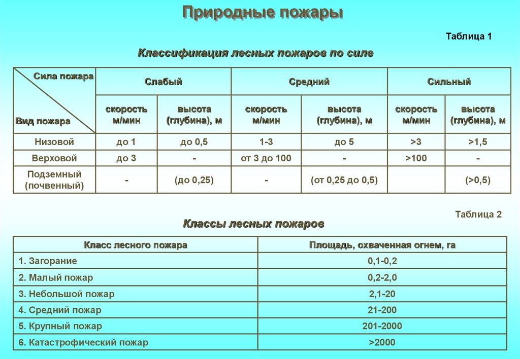 Природные пожары схема