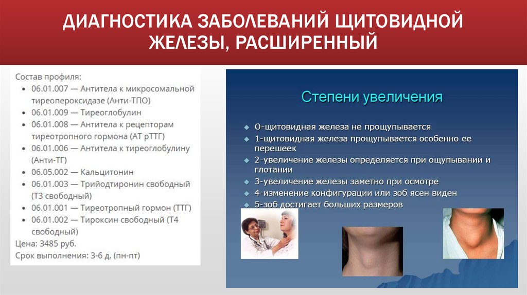 Щитовидная железа симптомы заболевания у женщин внешние признаки и внутренние фото признаки