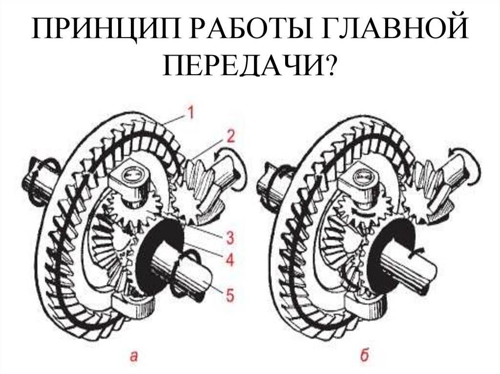 Главная передача схема