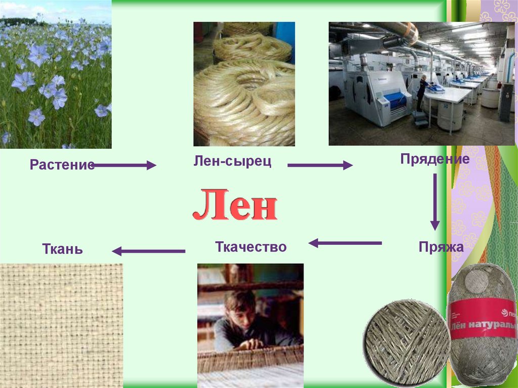 Продолжите схему получения ткани растение волокно ткань